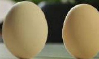 用盐立鸡蛋的原理是什么 用盐立鸡蛋的原理