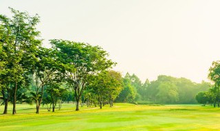 睹物思人触景伤情的意思 睹物思人触景伤情怎么理解