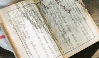 坦的拼音和组词 坦的拼音和组词是什么