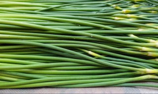 蒜苔豆角蒜苗储存方法 关于蒜苔豆角蒜苗的储存方法