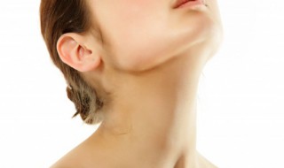 neck怎么读 neck如何读