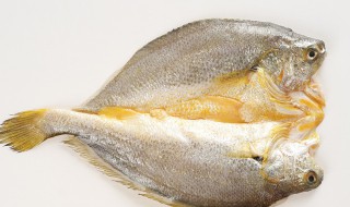 黄鱼鲞储存方法 黄鱼鲞的储存方法