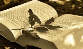 沉淀在语文上的意思 沉淀解释