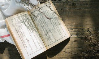 长歌行焜黄华叶衰中几个字的意思 长歌行焜黄华叶衰中几个字的解释