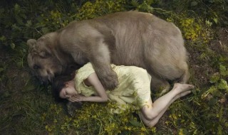 人与动物的根本区别是 人与动物的根本区别介绍