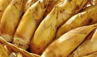 储存冬笋用什么方法 储存冬笋方法简单介绍