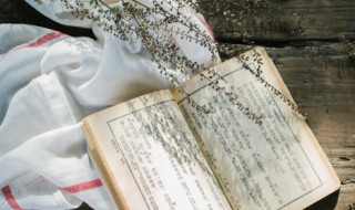 水浒传第三回主要内容 水浒传第三回的主要内容