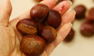 生栗子怎么好剥 怎么剥生栗子