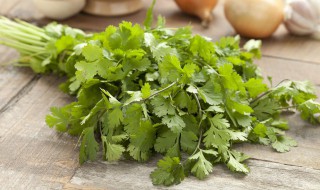 香菜怎么拌好吃 拌香菜的烹饪方法