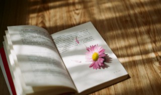 洼的拼音和组词 洼如何读