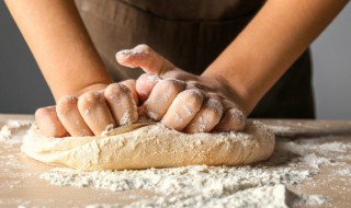 老面引子储存方法 怎样储存老面引子