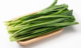 韭菜恒温库储存方法 韭菜恒温库保存方法