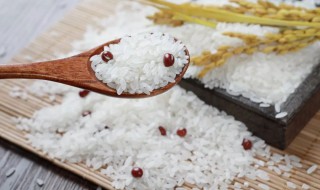 有机大米储存方法 有机大米保存方法