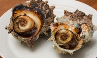 螺怎么煮 海螺的煮法