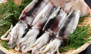 墨鱼饺子皮怎么做的 怎么做墨鱼饺子皮