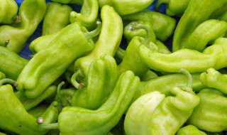 青椒储存方法和注意事项 青椒怎么保存