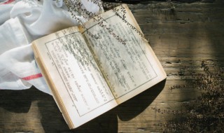 或凭几学书的书什么意思 或凭几学书的意思