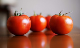 牛肉烧西红柿怎么做 牛肉烧西红柿的烹饪方法