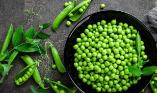 豌豆泥怎么做好吃 豌豆泥的做法