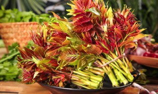 腌过的香椿怎么做好吃 怎么做腌过的香椿吃