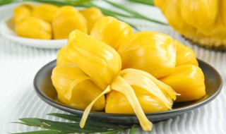 菠萝蜜要怎么剥不粘手 如何剥菠萝蜜