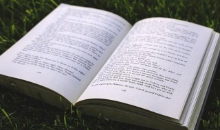 宛若的近义词 宛若的近义词有什么