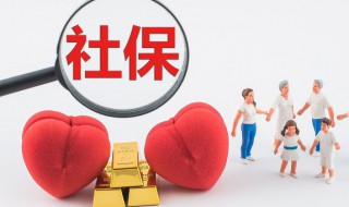 社会保险费一般由谁承担 社会保险费的承担人