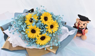 祝愿前程似锦送什么花 祝愿前程似锦适合送什么花