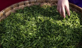 雨前茶是茶中的上品此处雨是什么意思 雨前茶是茶中的上品解析