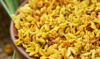 桂花如何做成干桂花 桂花做成干花的方法