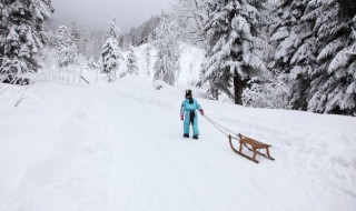 降雪等级标准是什么意思 降雪等级标准怎么解释