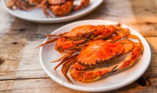 无肠公子是什么的代称 无肠公子是什么