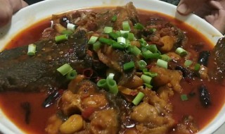 鲶鱼怎么煮 怎么煮鲶鱼