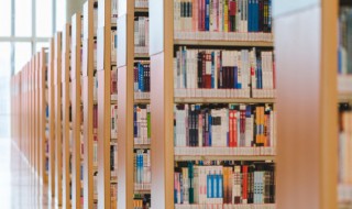 八月十八潮答案是什么 八月十八潮的解释