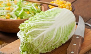 白菜保鲜小窍门 怎样保存白菜