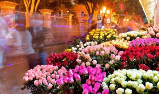 花束保鲜小窍门方法 花束保鲜小窍门方法是什么