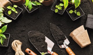 误打除草剂怎么补救 怎么补救误打除草剂