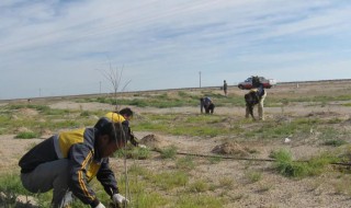封滩育草的方式 什么是封滩育草