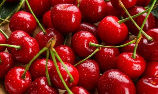 什么水果不是凉性的 不是凉性的水果介绍