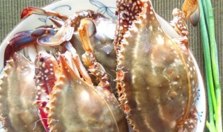 梭子蟹可以切开蒸吗 梭子蟹可不可以切开蒸