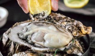 怎么判断生蚝坏了 判断生蚝变质的方法