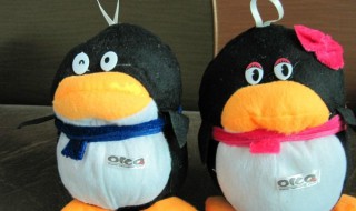 怎么申请免费的qq号 如何申请免费的qq号