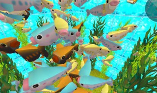 迷你世界的鱼怎么养 迷你世界的鱼如何养