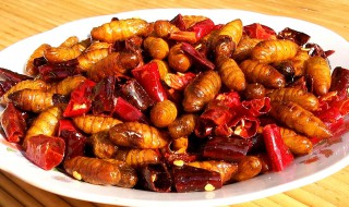 蚕蛹怎么做好吃又营养 蚕蛹如何做好吃又营养