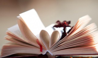 潮的组词和拼音 潮怎么读