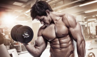 人体的基本结构是什么 都包括些什么呢