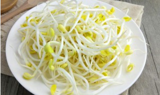 自家淘豆芽的方法 自家怎么淘豆芽