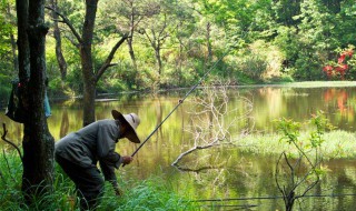 很浅水怎么钓鲫鱼 了解一下