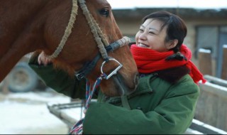 电视剧我的二哥二嫂多少集 电视剧我的二哥二嫂的介绍