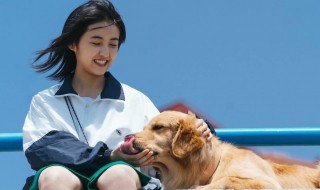 宠爱演员表 来这里了解下简单的剧情了